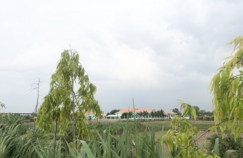 Đất nền Phan Văn Mảng – Thị trấn Bến Lức gần chợ Bình Chánh đường Quốc lộ 1A